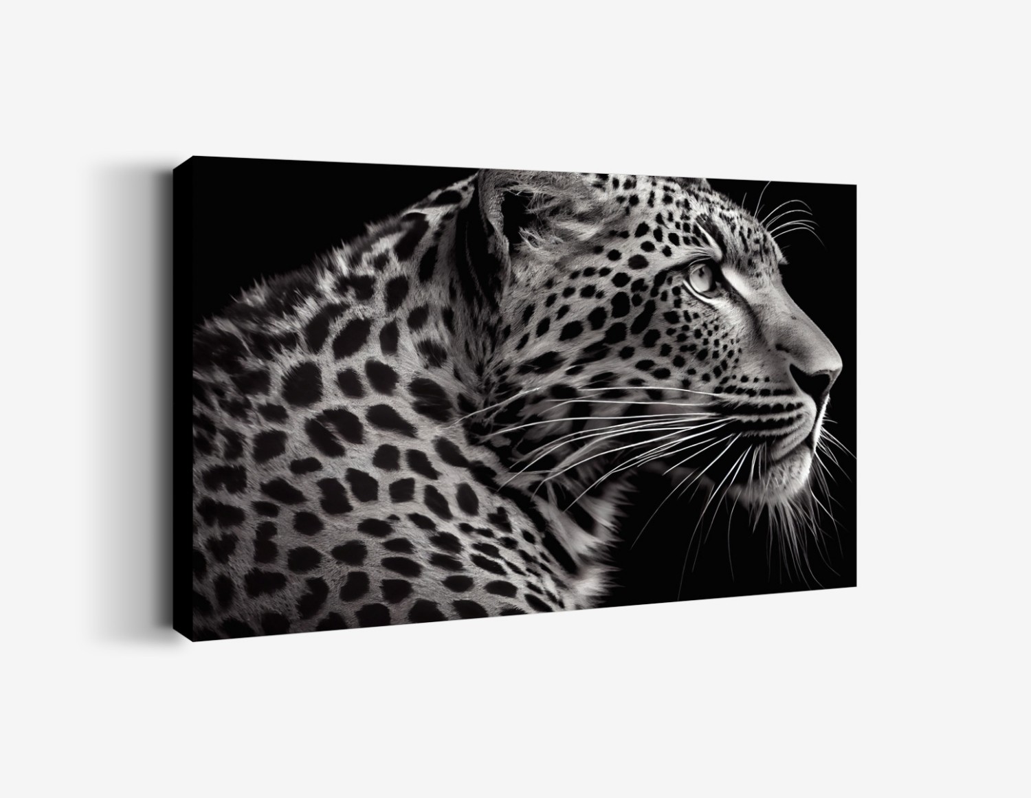 Siyah Beyaz Leopar