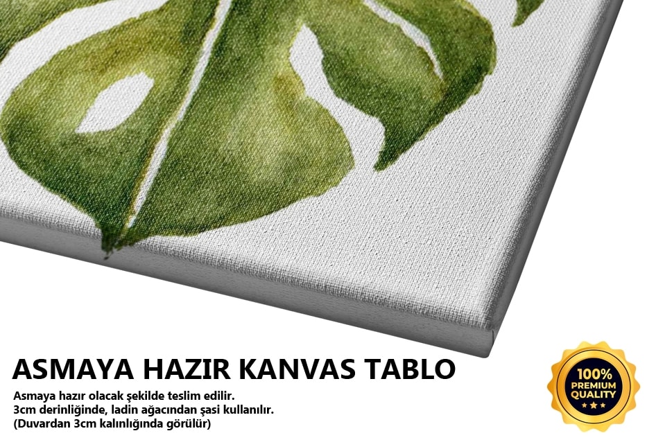 Monstera Yaprak Tablo