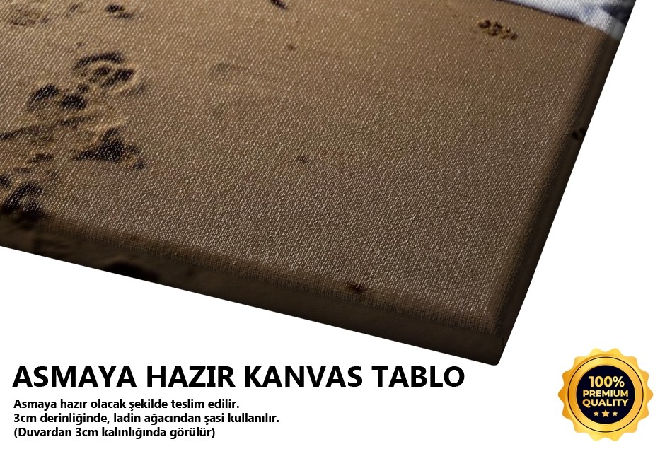 Keyif (Ağva-istanbul) Tablo