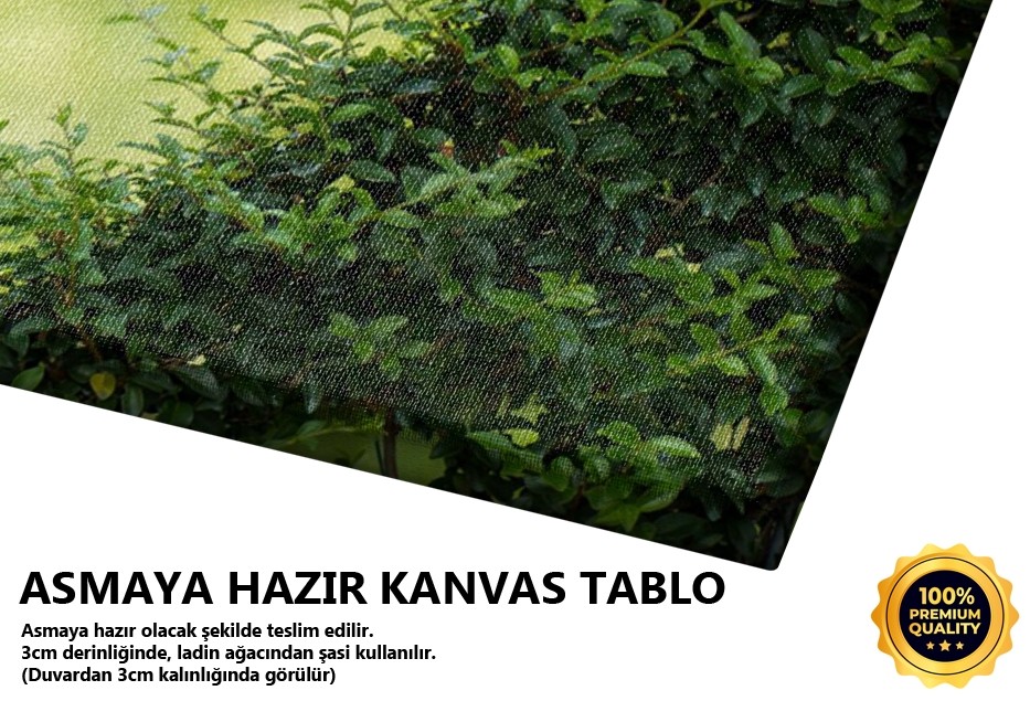 Aşk Yeşermektir Tablo