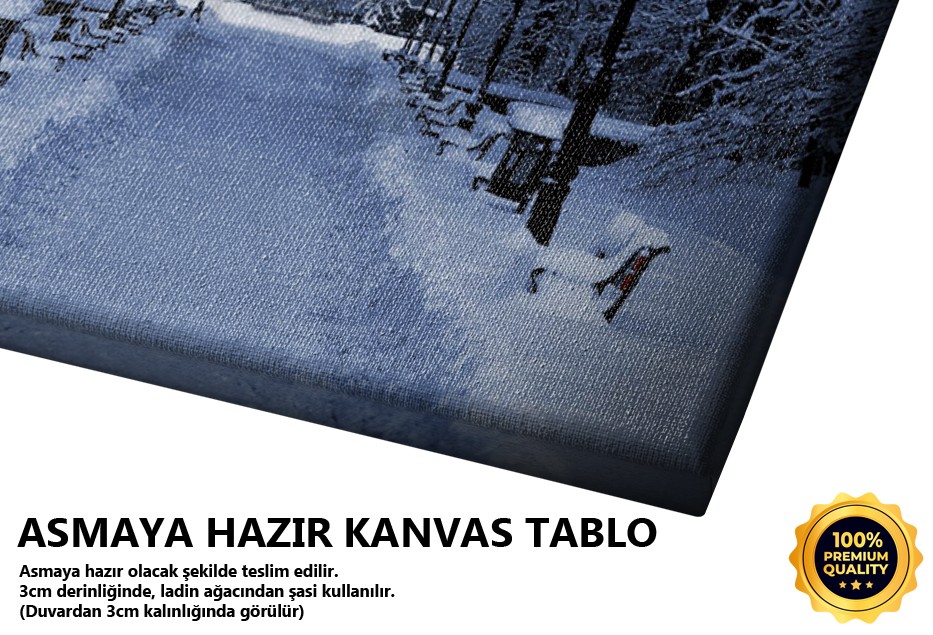 Karlı Yürüyüş Yolu Tablo