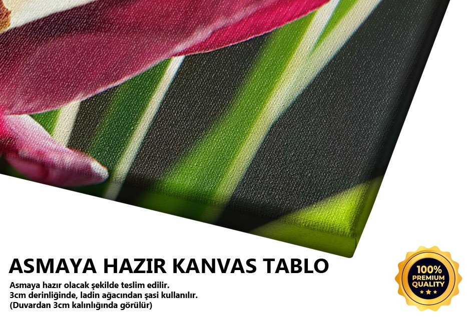 Laleye Yolculuk -2008 Tablo