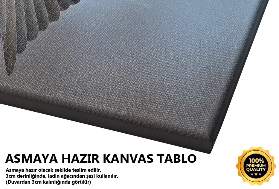 Uçuş Halinde Kartal
