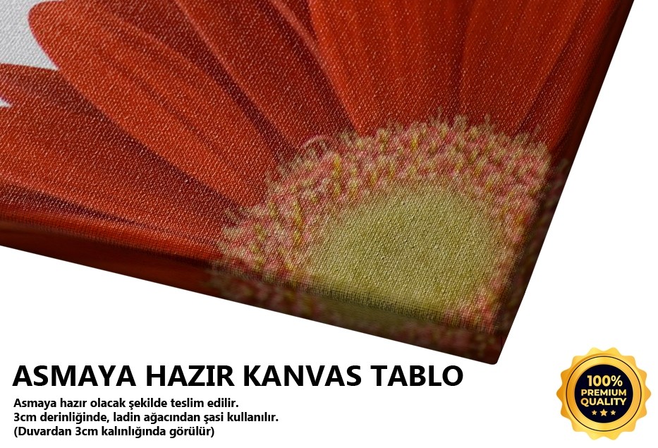 Kırmızı Tablo