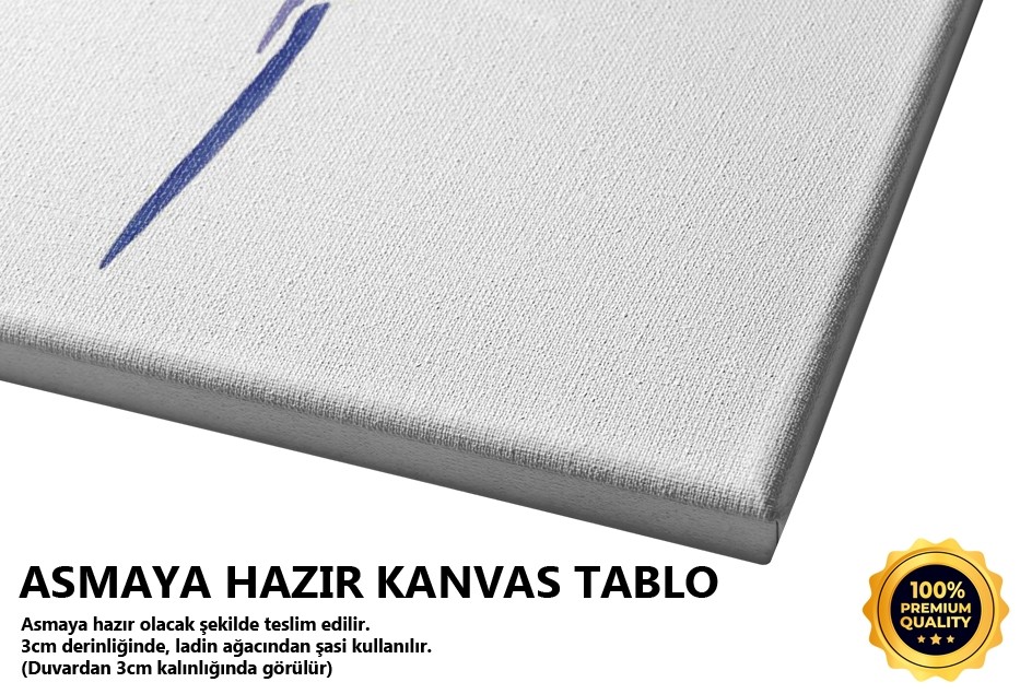 Tüy 6 Tablo