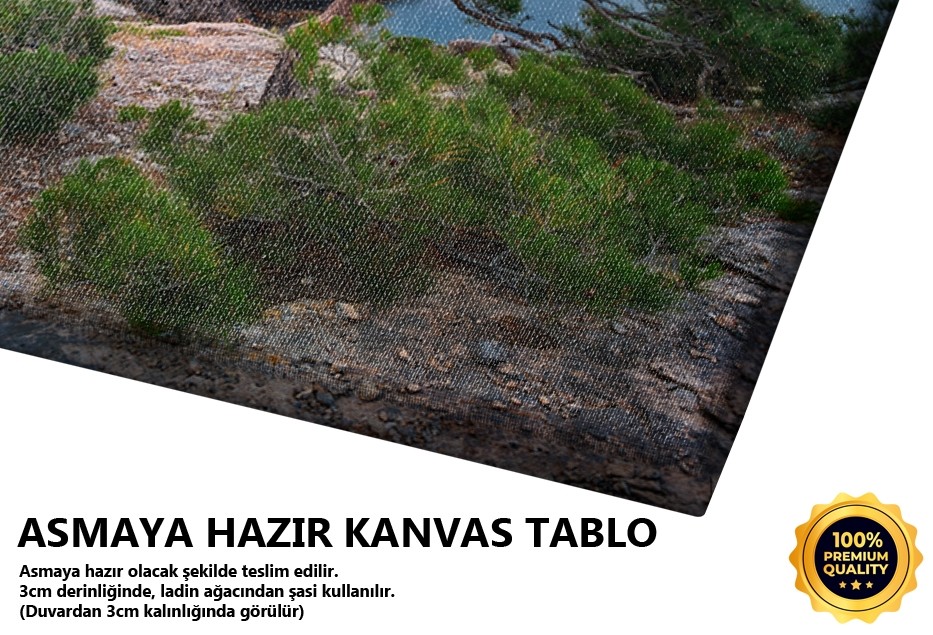 Gün Doğumu ve Kıyı