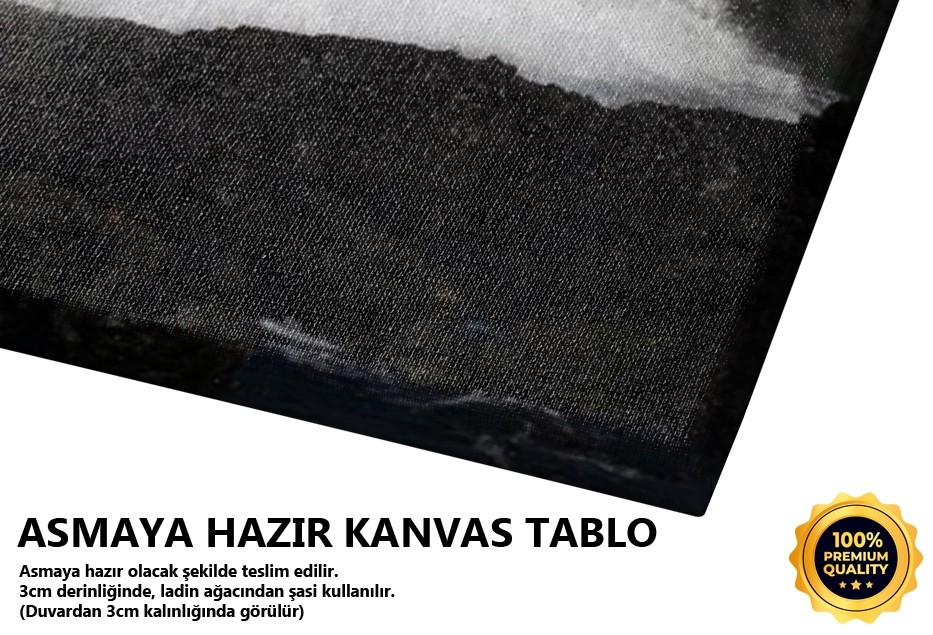 Beyaz At Tablo