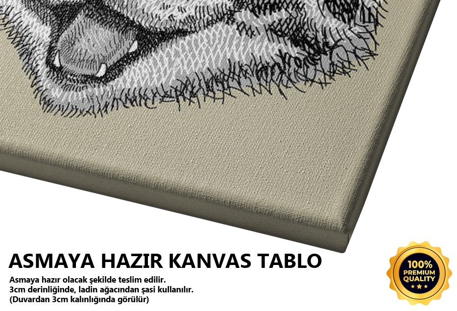 Kedi Karalama Tablo