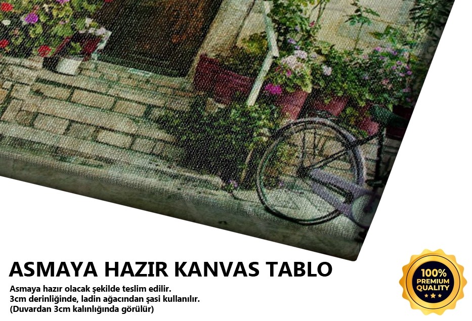 Yunan Tarzı Eski Ev Tablo