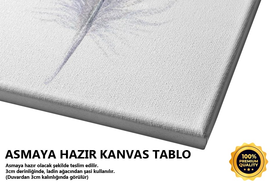 Tüy 8 Tablo