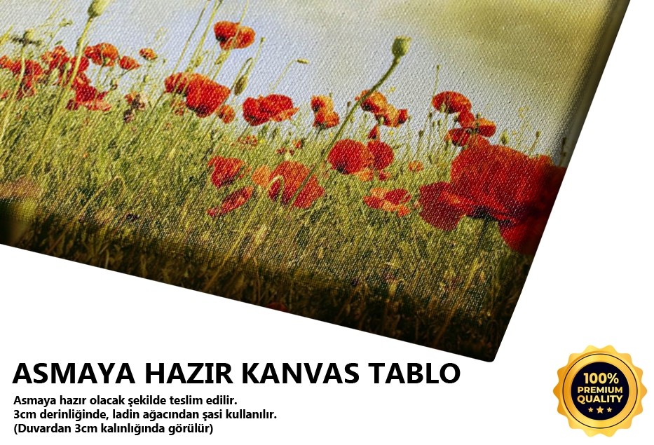 Gelincikler Tablo