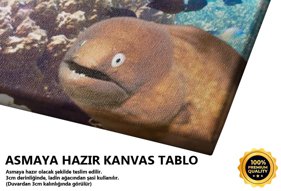 Su Altı Manzarası Tablo