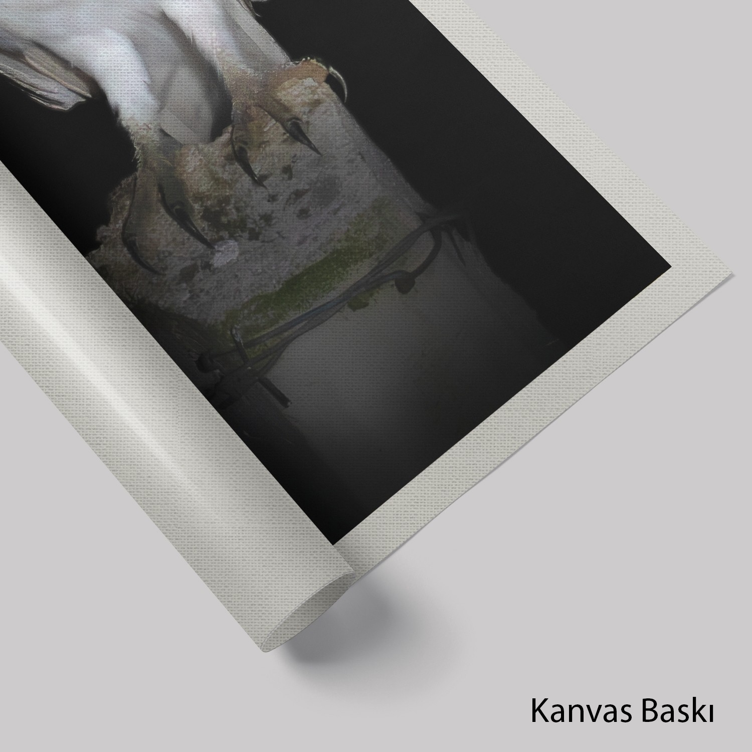 Peçeli Baykuş
