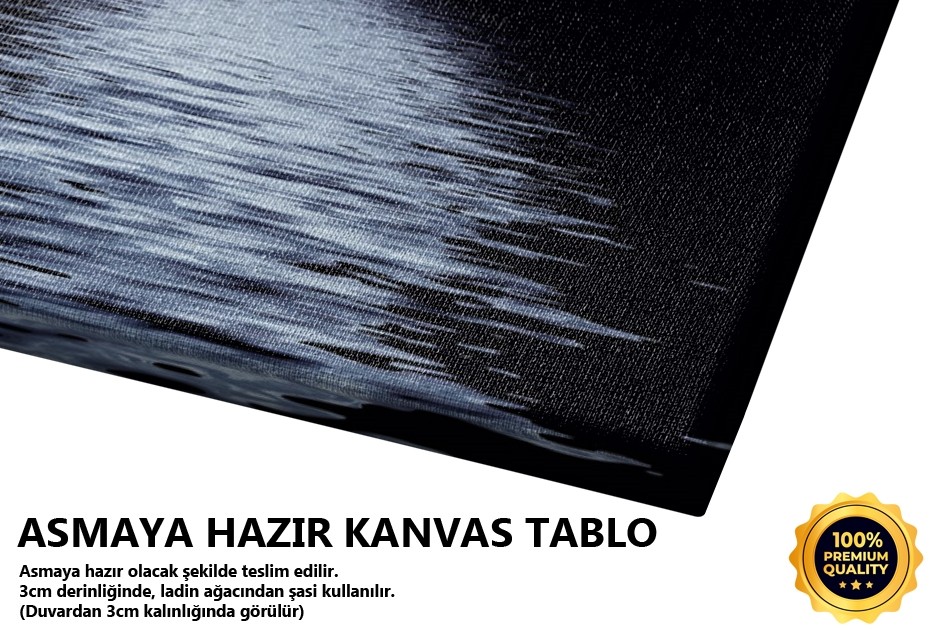 Dolunay Tablo