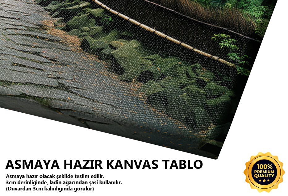 Bambu Ormanı ve Japon Esintisi