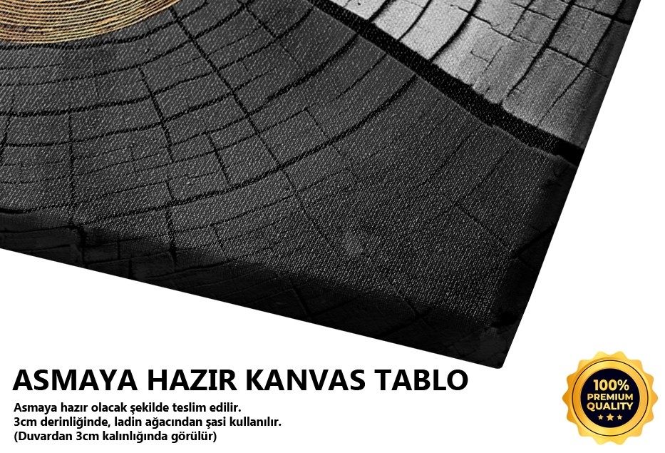 Siyah Altın Çember Deseni