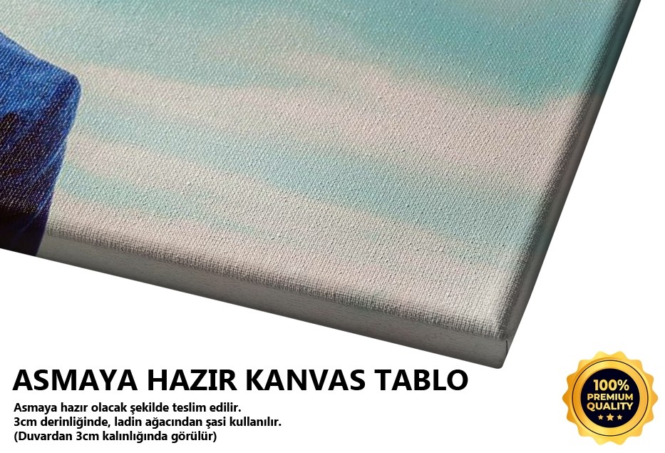 Uzaklara Bakan Adam Tablo