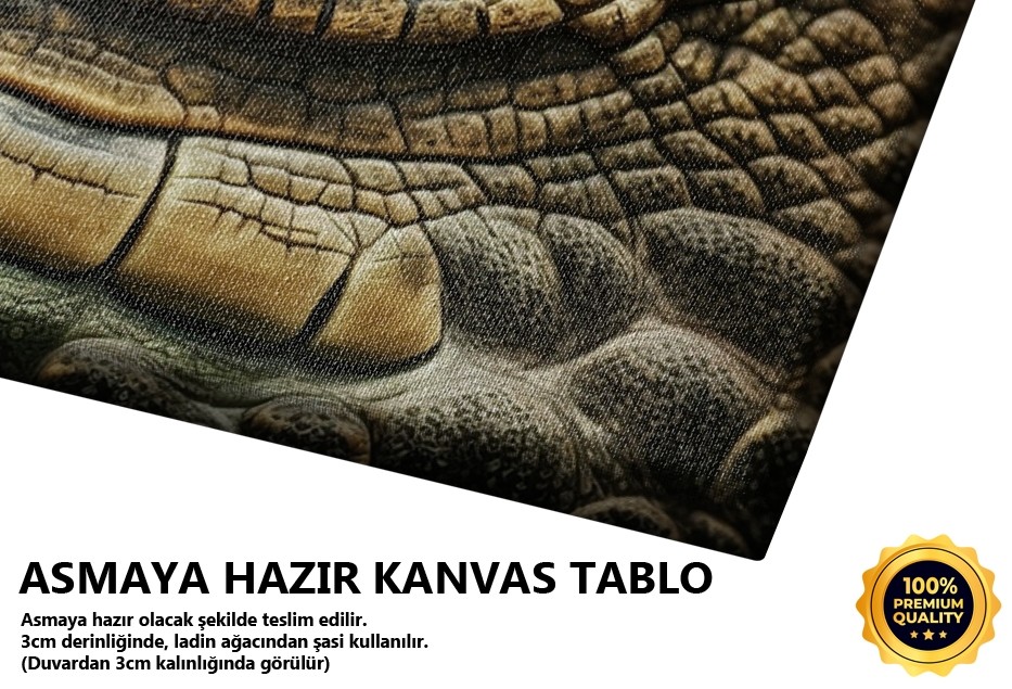 Timsah Gözü