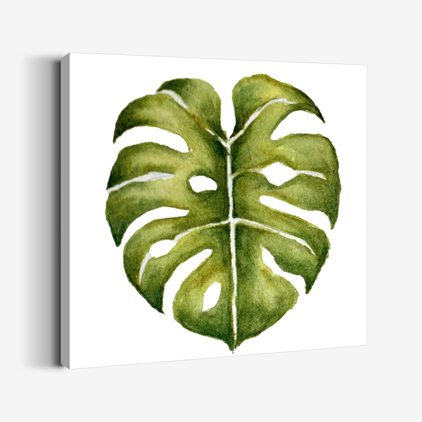 Monstera Yaprak Tablo