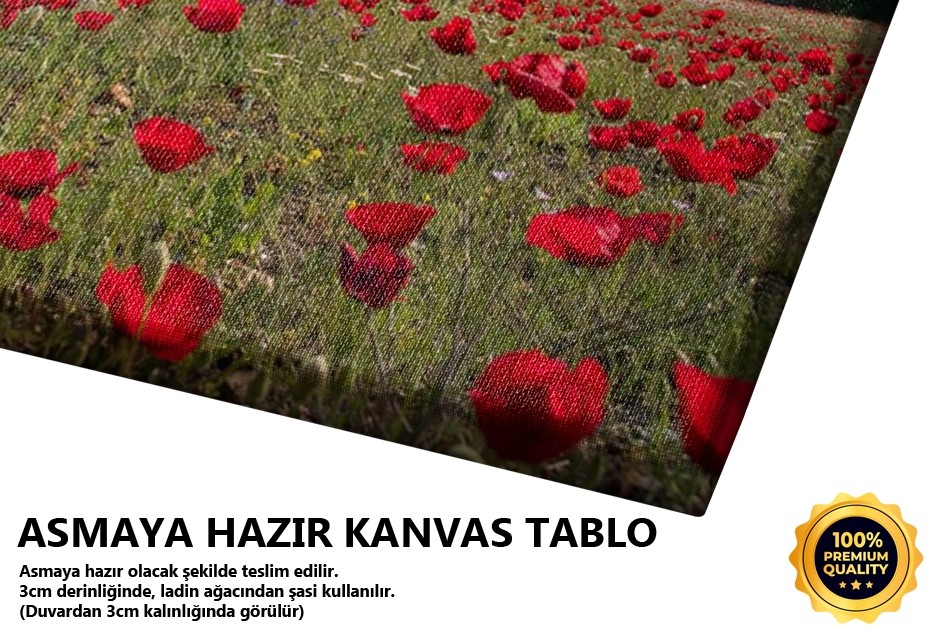 Dünyanın Merkezi (Beyşehir) Tablo