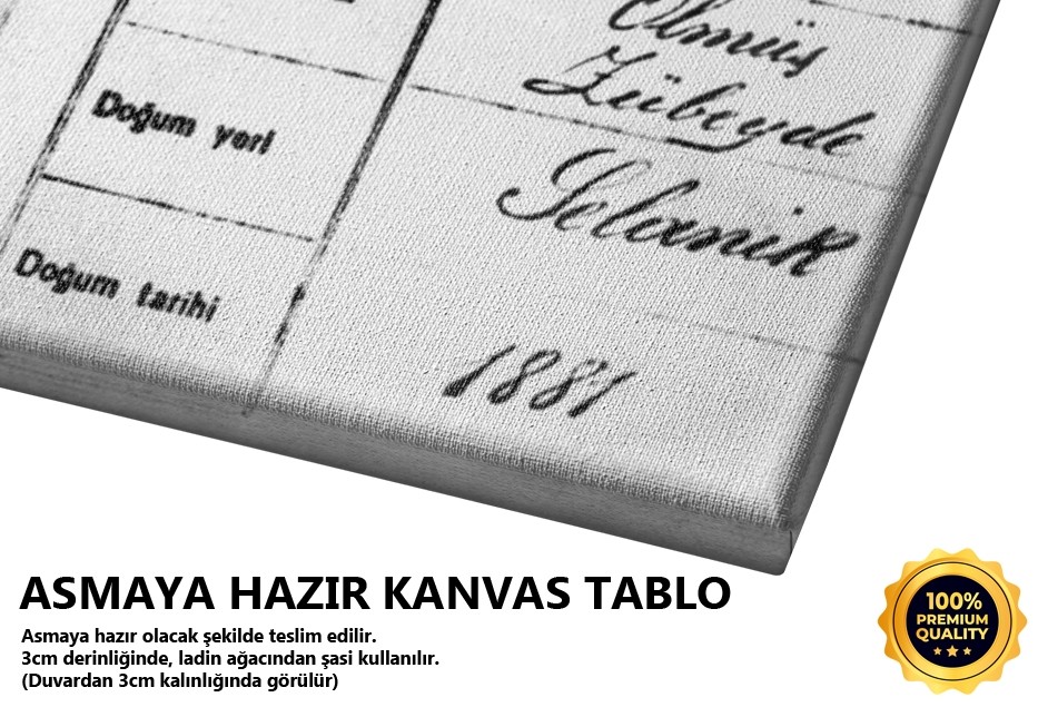 Atatürk'ün Nufus Cüzdanı Tablo