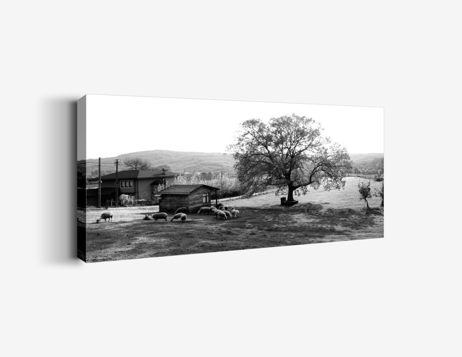 Kır Tablo