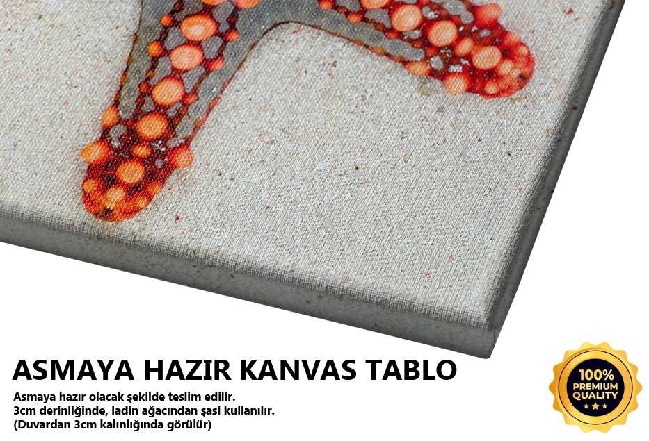 Deniz Yıldızı 1 Tablo