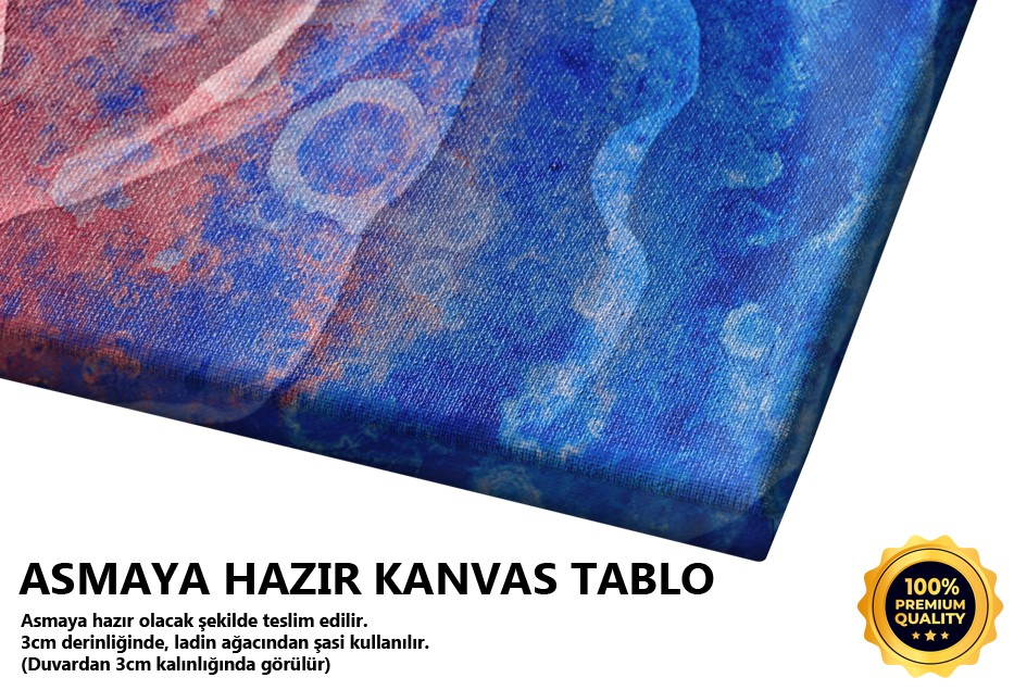 Renkli Gül Temalı Soyutlama