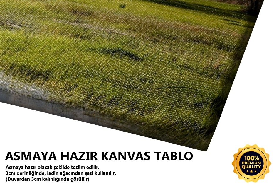 Bir Ben I (Kıyıköy-Kırklareli) Tablo