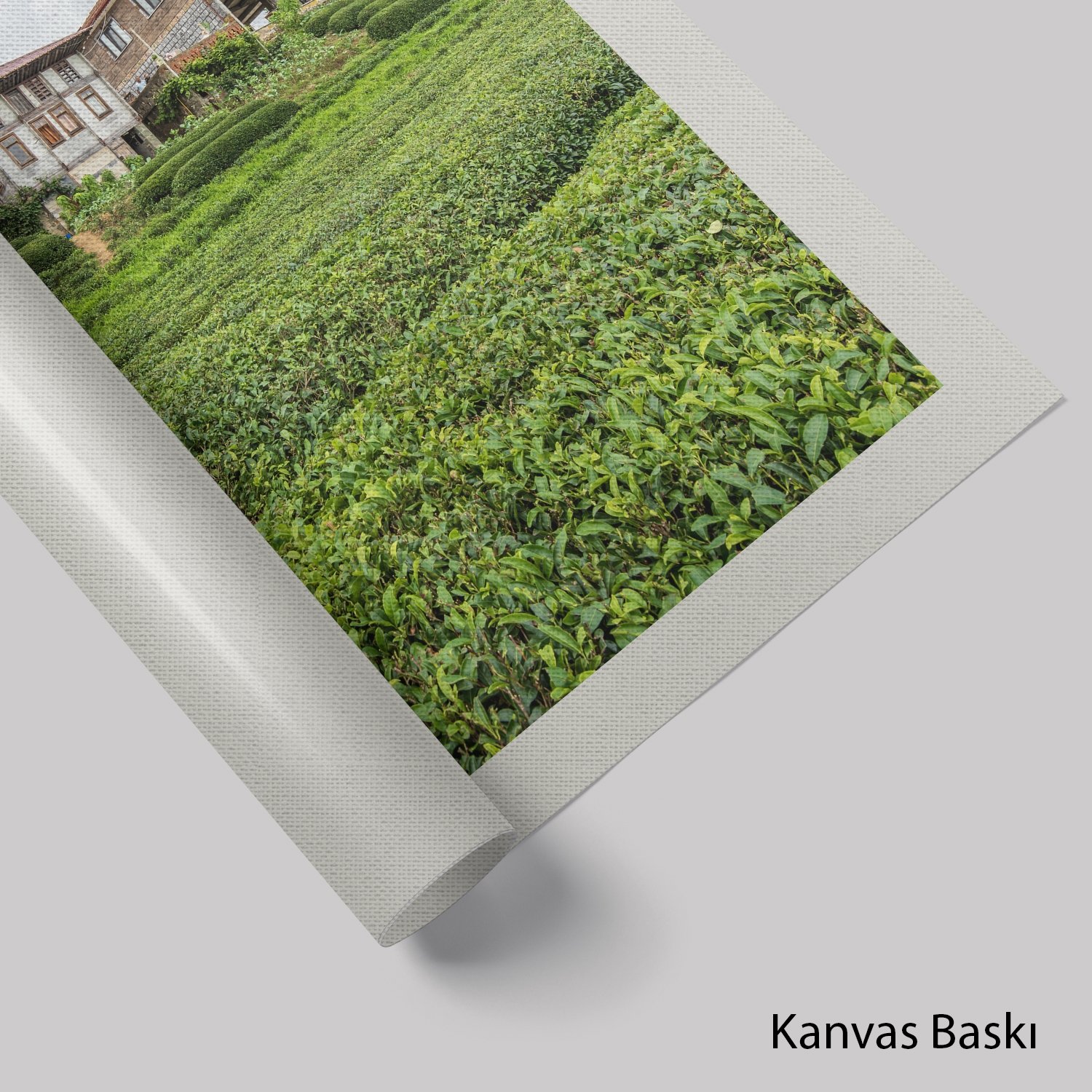 Çay Bahçesi
