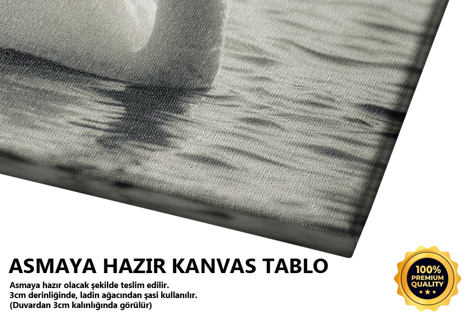 Beyaz Kuğu Tablo
