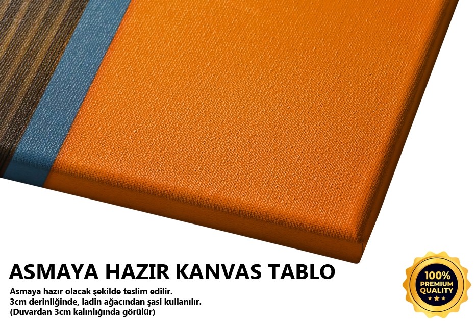 Sarı Duvar Tablo