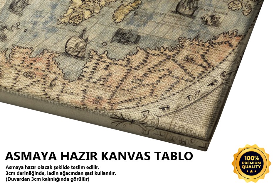 Dünya Haritası Tablo
