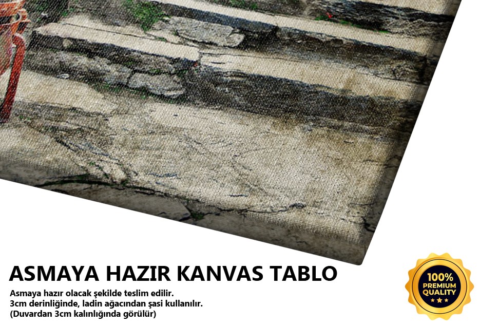 Eski İtalya Sokakları Tablo