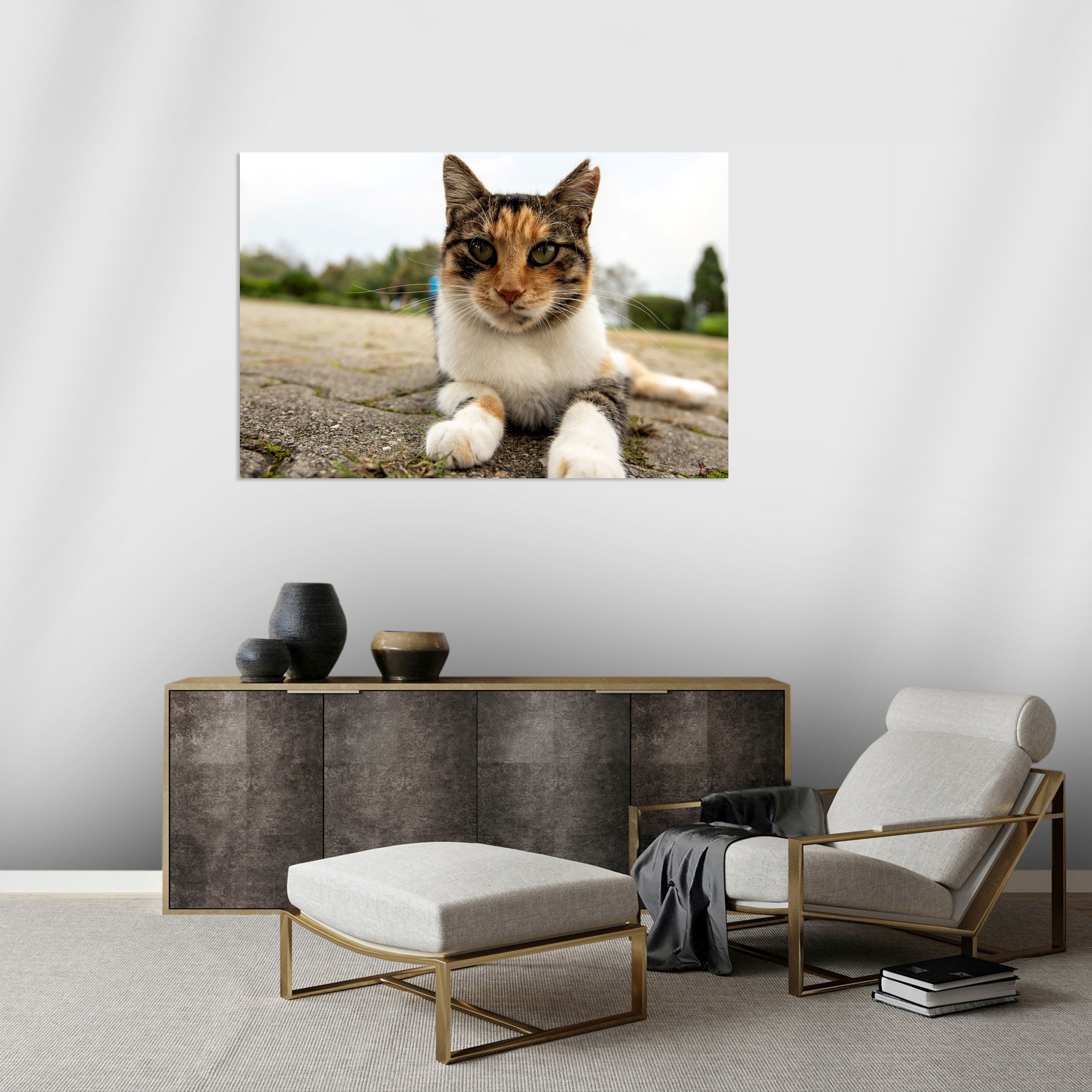 Kedi