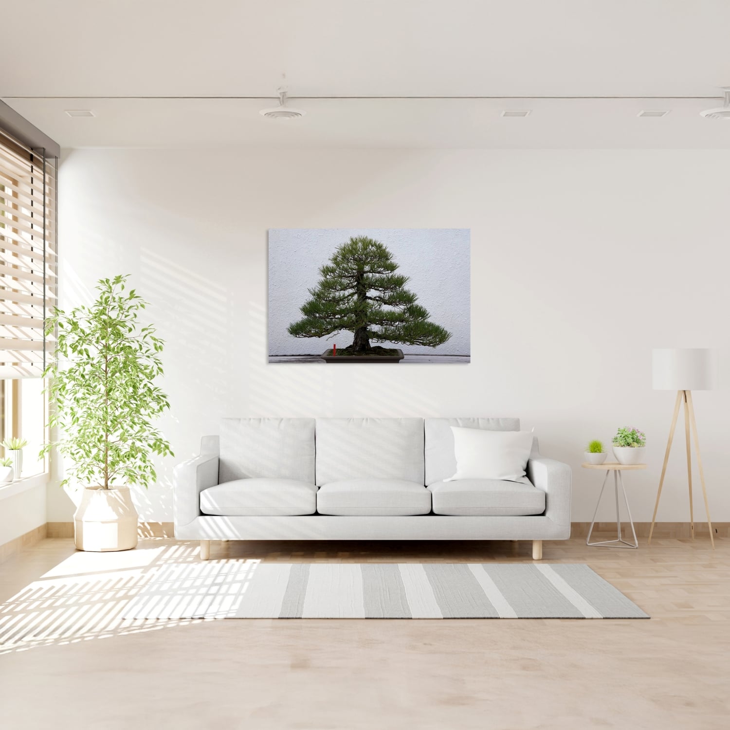 Bonsai Çam Tablo