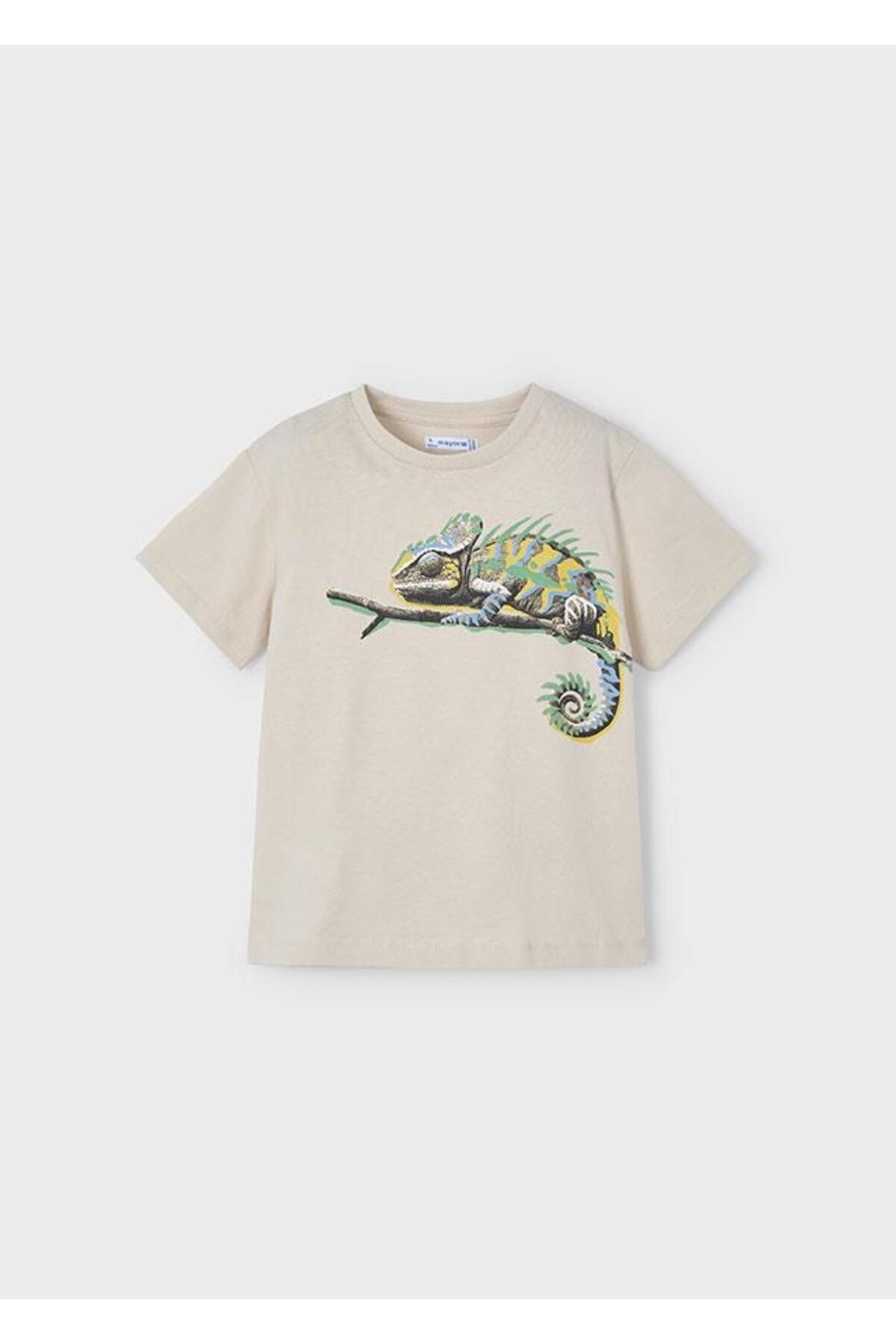 Erkek Çocuk Tshirt 3045 4/10 Yaş