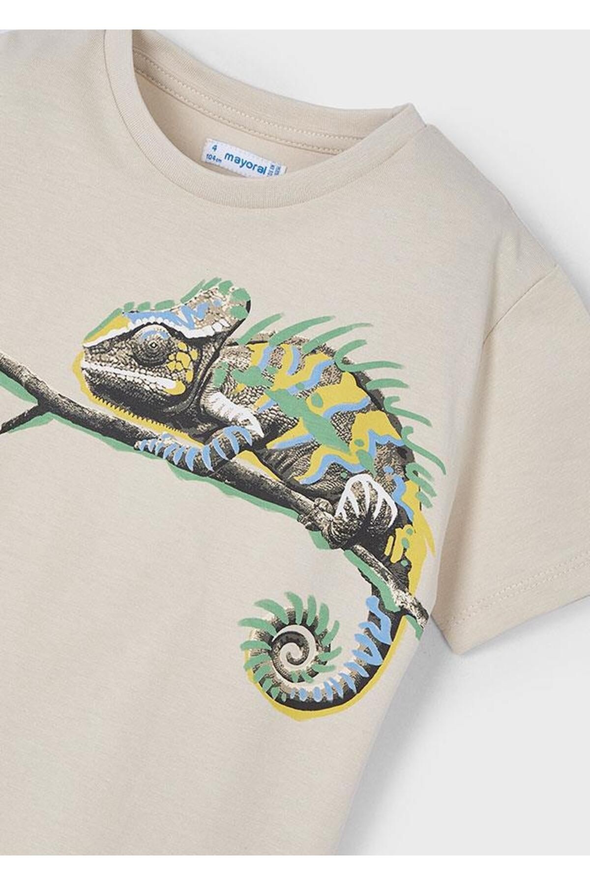 Erkek Çocuk Tshirt 3045 4/10 Yaş