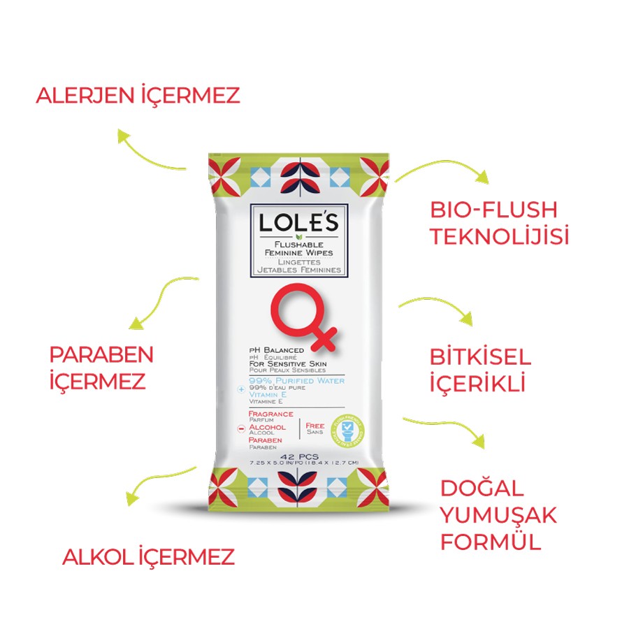 LOLE'S FLUSHABLE WIPES - KADIN 42 Adet