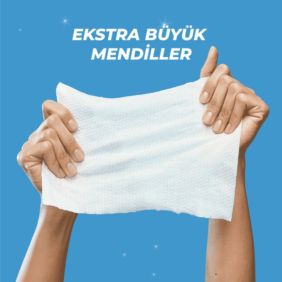 LOLE'S YÜZEY TEMİZLİK HAVLUSU - EXTRA CLEAN Çam Kokulu 50 Adet