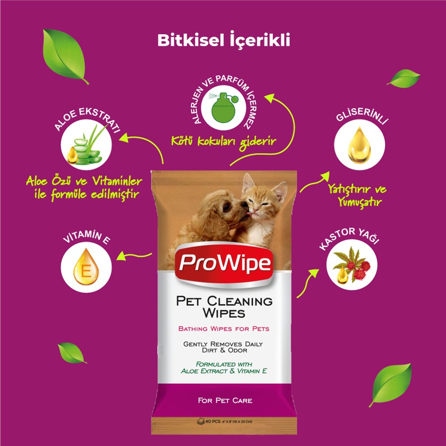 PROWIPE PET CLEANING WIPE 40 Adet