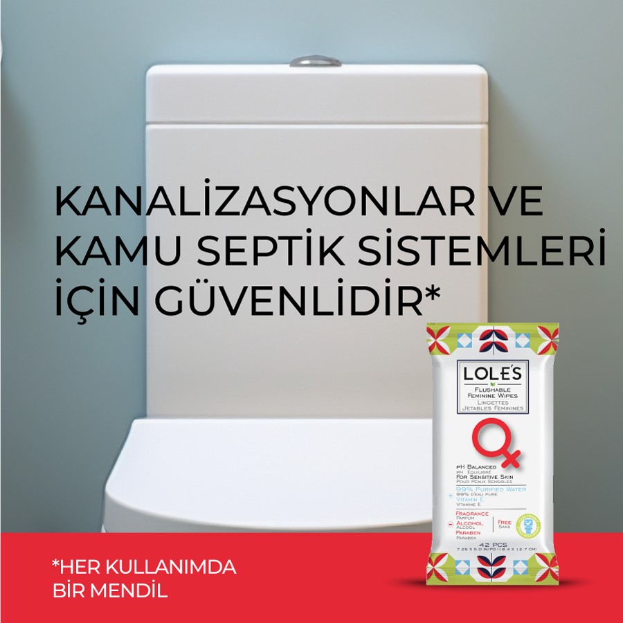 LOLE'S FLUSHABLE WIPES - KADIN 42 Adet