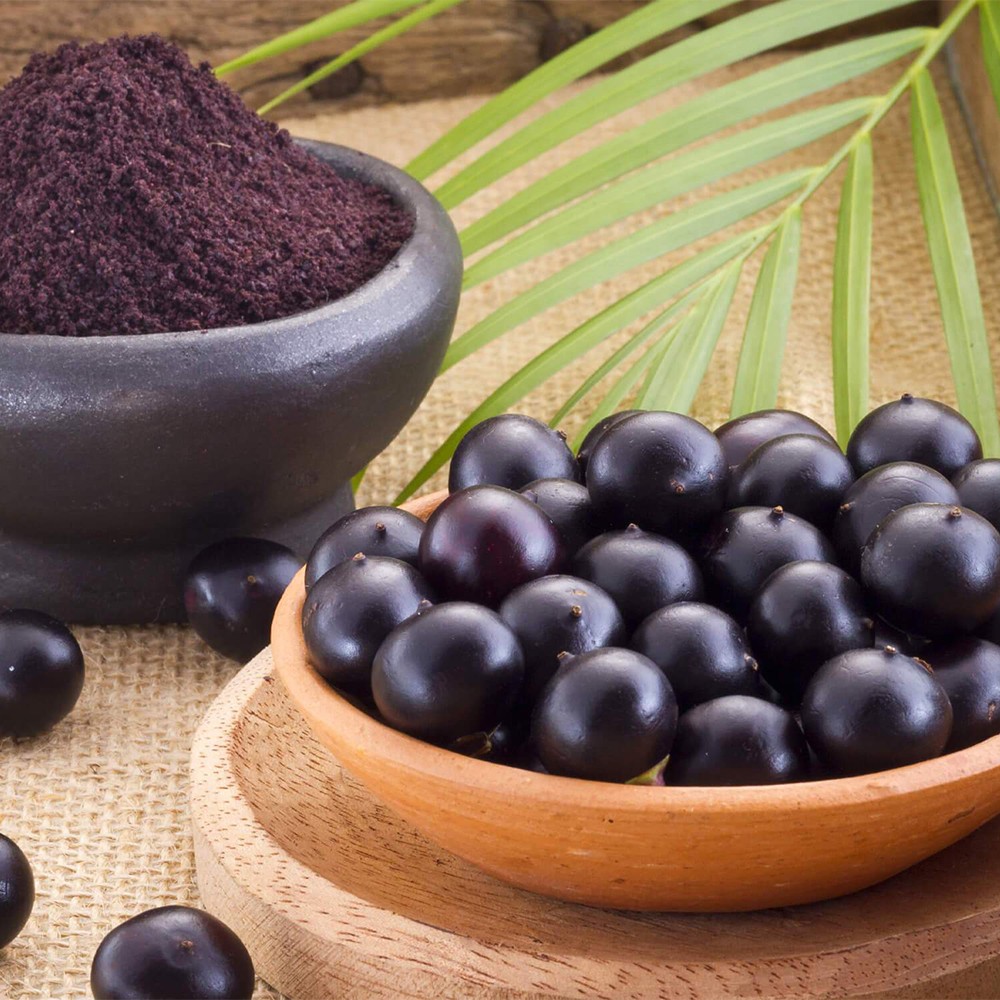 Acai Üzümü Ekstrakt