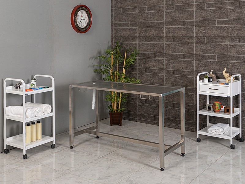 Paslanmaz Veteriner Masası | Provet-6302