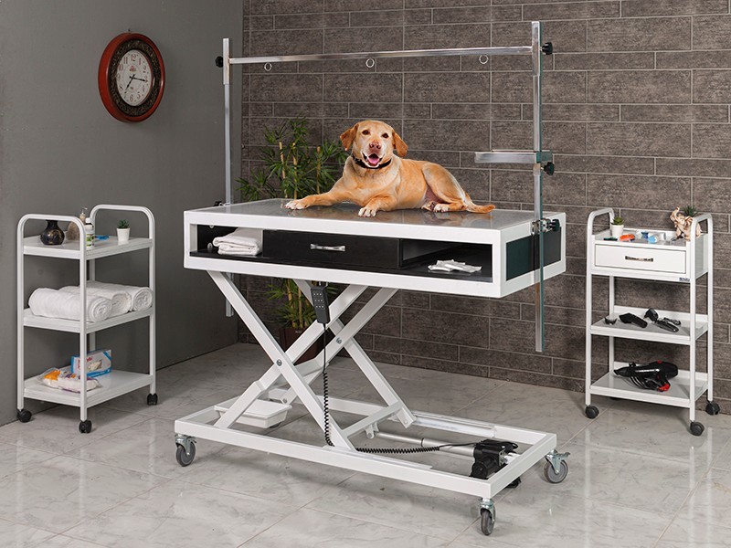 Veteriner X-Ray Röntgen Masası-Siyah Çekmeceli | Provet-6204