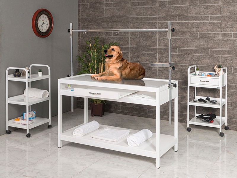 Veteriner X-Ray Röntgen Masası-Beyaz | Provet-6201