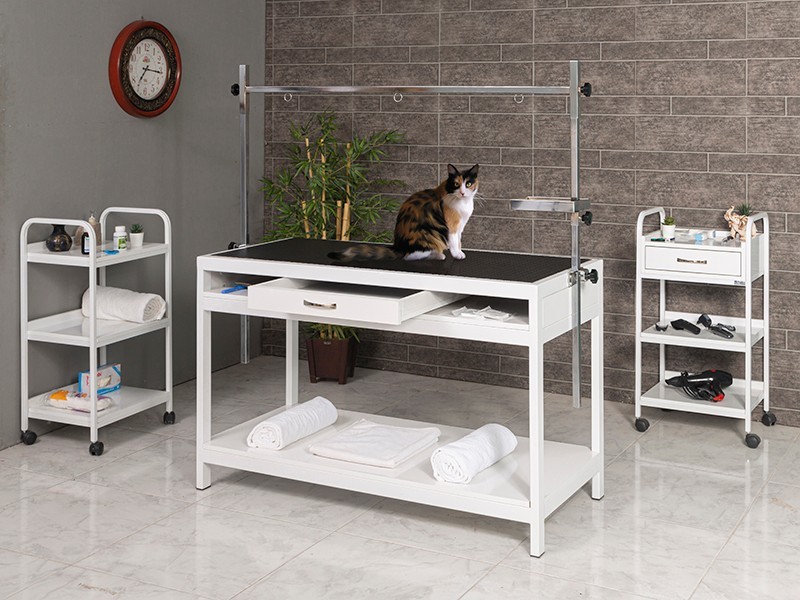 Veteriner Pet Muayene ve Bakım Masası | Provet-6006