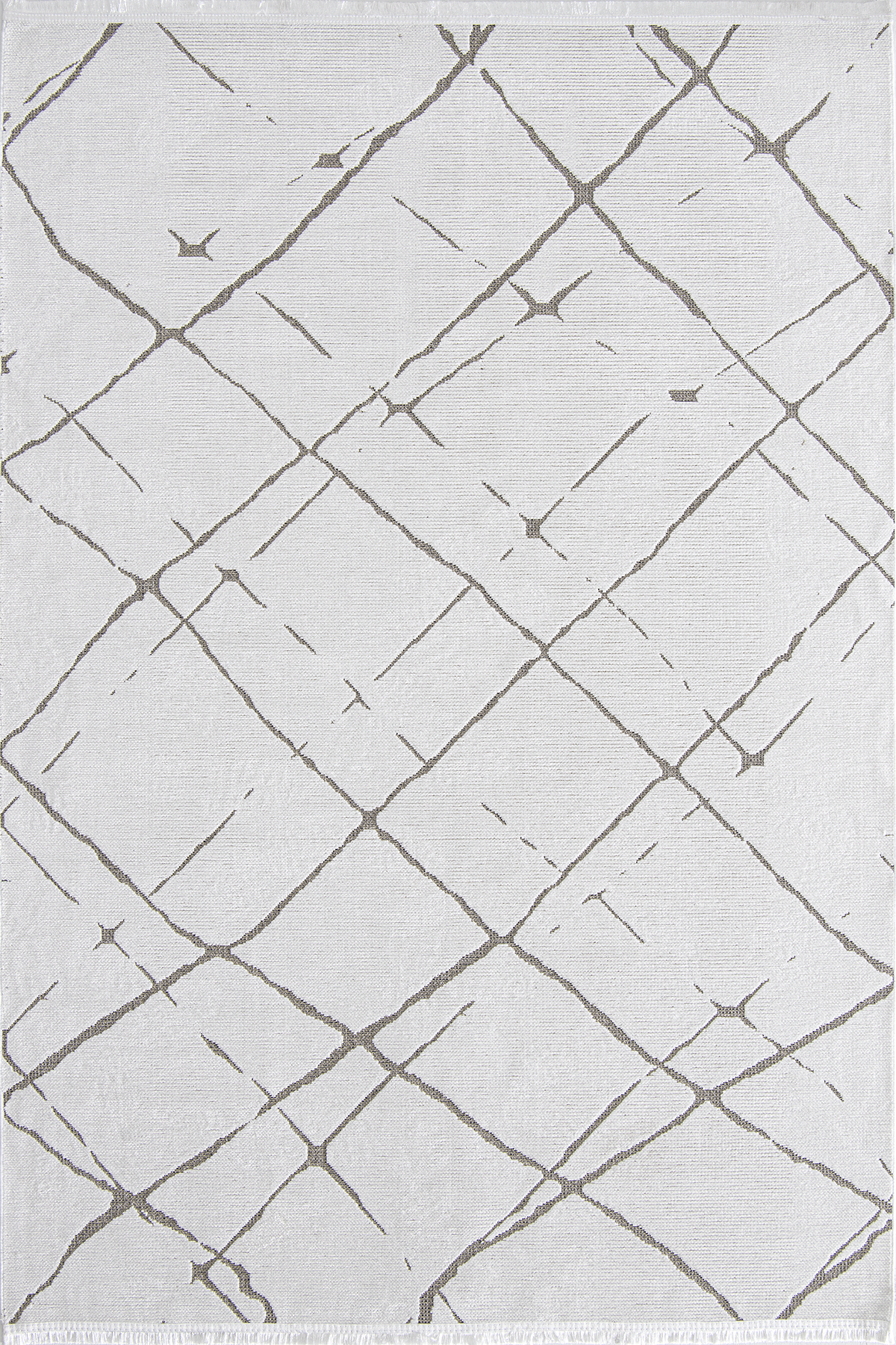 TERRACE 8207