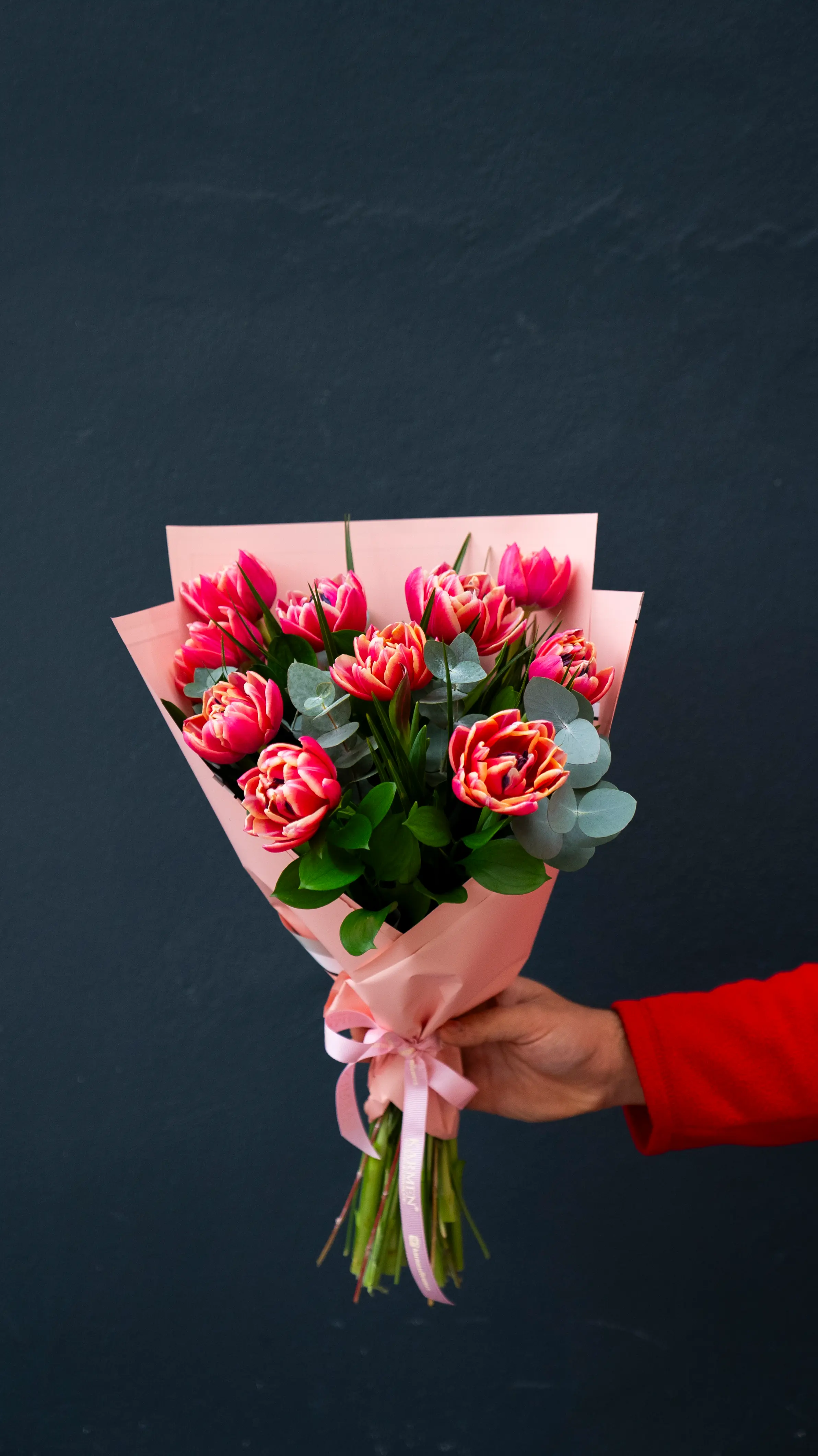 Pink Tulips