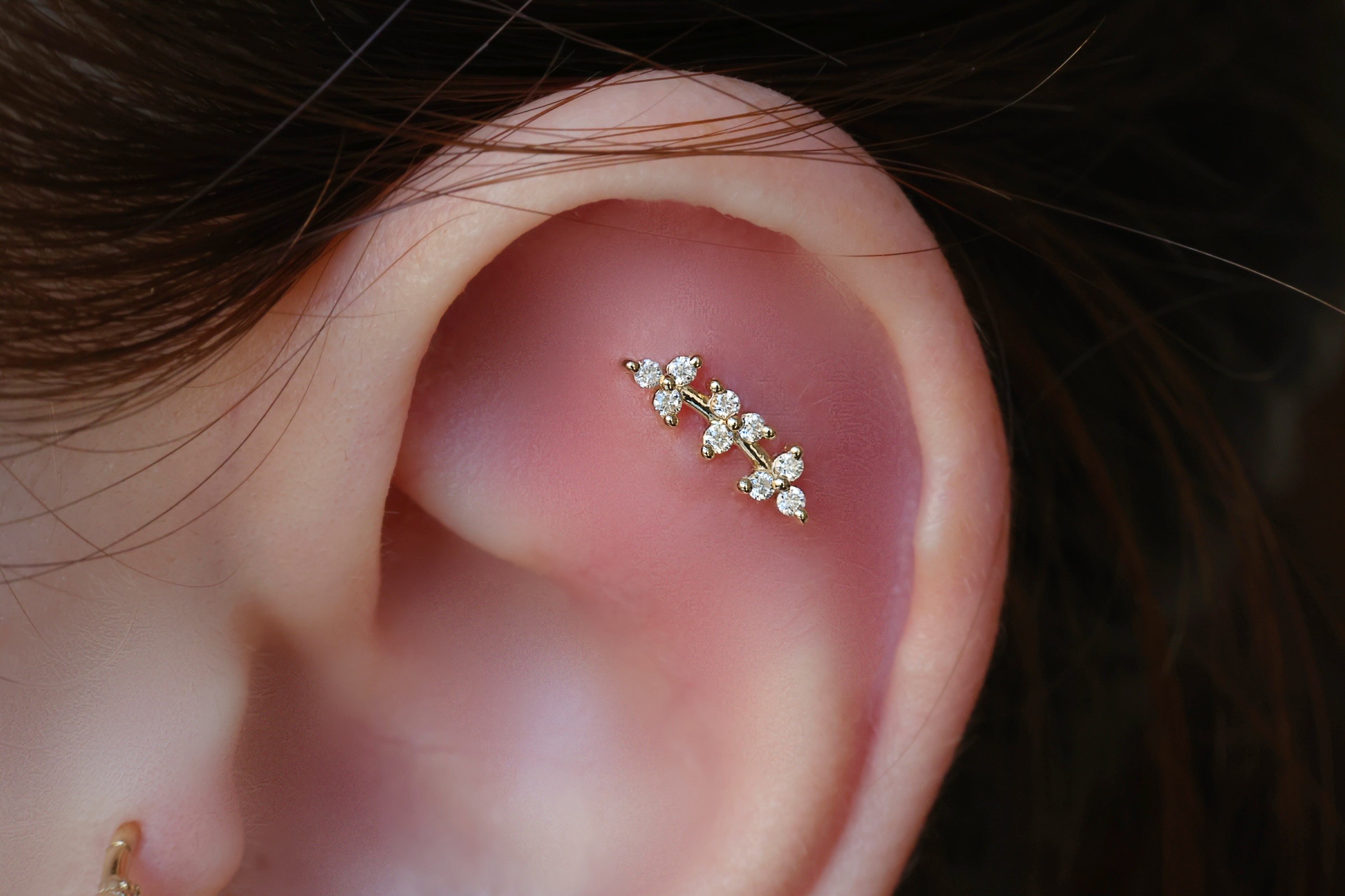 Leaf Diamond Piercing